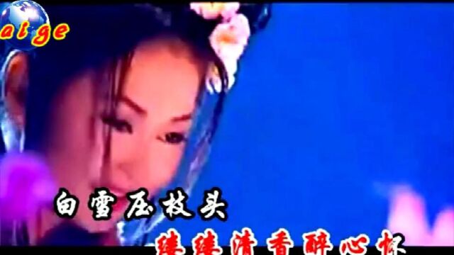 梅花吟 原伴奏 陈俊华