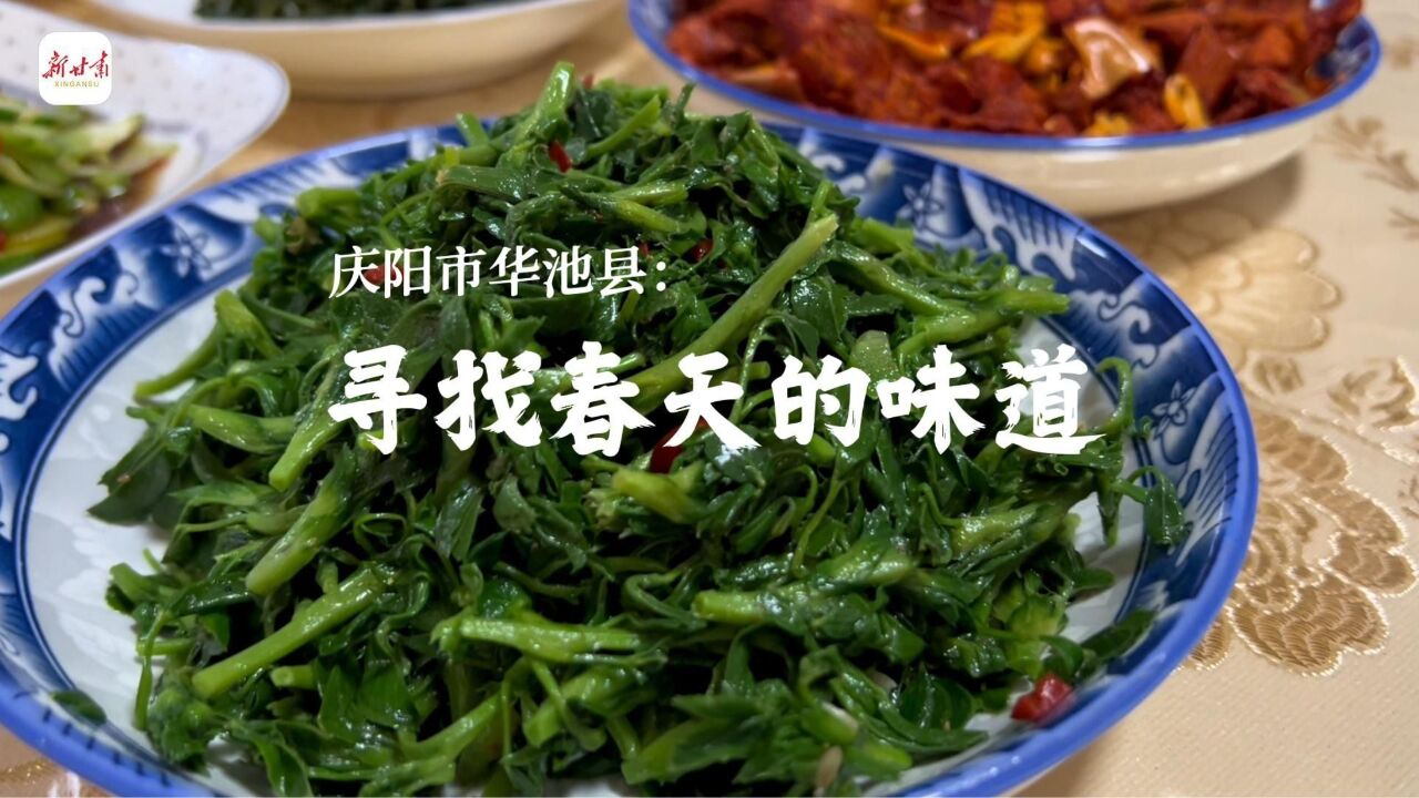 这里是甘肃ⷨ熩⑼华池:寻找春天的味道