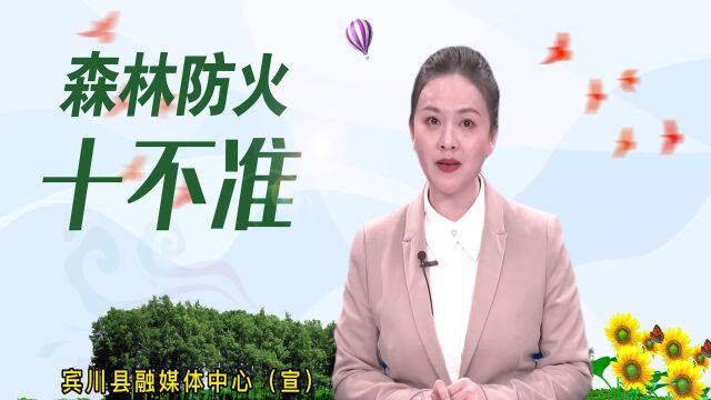 等你来!绿美宾川网络筹款吹响“集结号”…