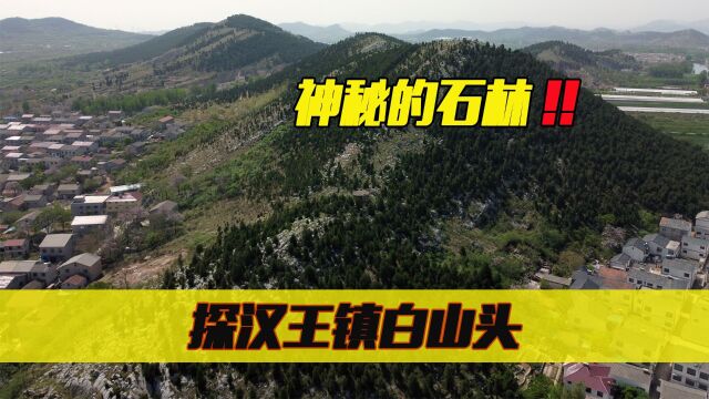 徐州有一处神秘的石林,满山白石嶙峋,探汉王镇白山头