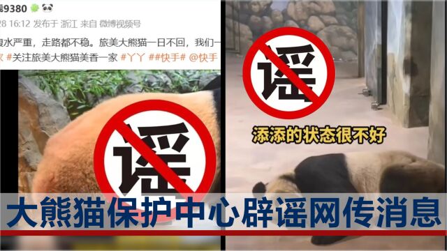 大熊猫保护中心辟谣网传消息:“美香”等熊猫身体状况良好,请停止“网络看诊”!