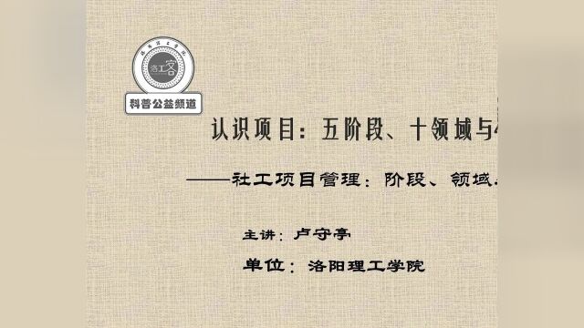 社工项目管理:阶段、领域与过程关系