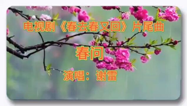 电视剧《春去春又回》的主题曲《春问》,缠绵悱恻,让人感动