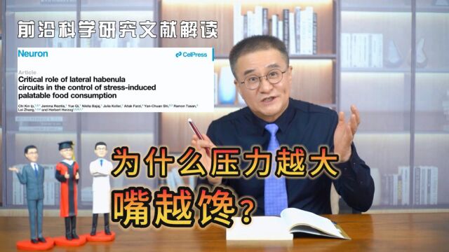 科学文献解读|为什么压力越大嘴越馋?