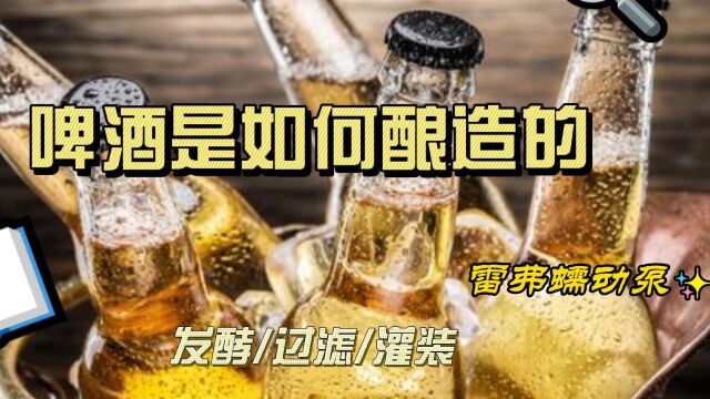 入夏仪式感!用啤酒迎接夏日的到来~雷弗蠕动泵助力啤酒生产(1)