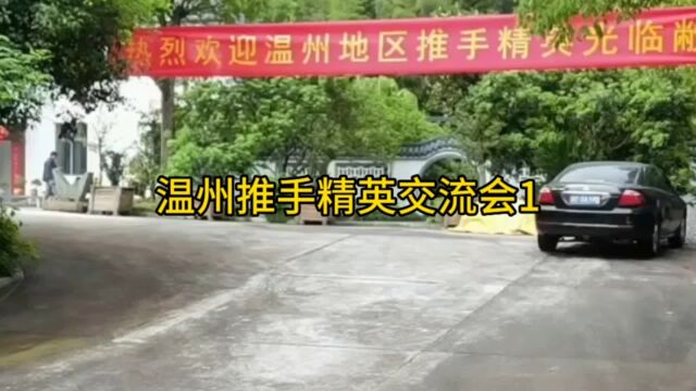 温州推手精英会1