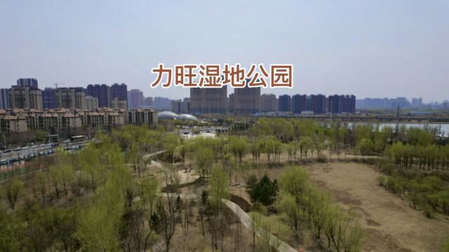 长春力旺湿地公园