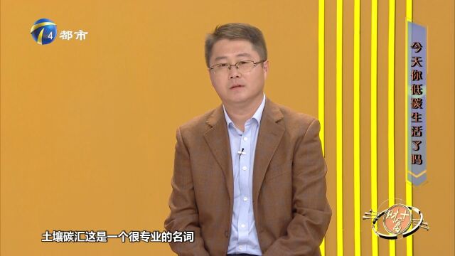 土壤是低碳环保很重要的环节,土壤碳汇是什么?快来了解下