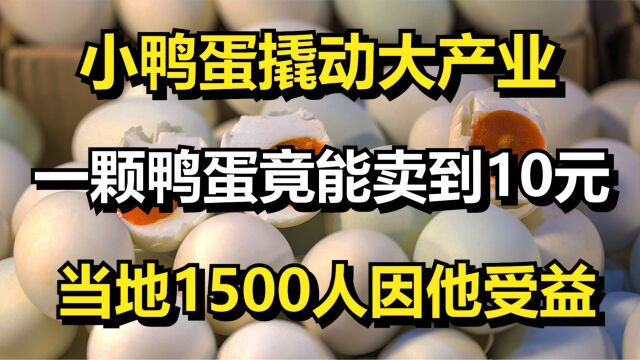 小鸭蛋撬动大产业,一枚咸鸭蛋竟卖能到10元,贵州1500人因他受益