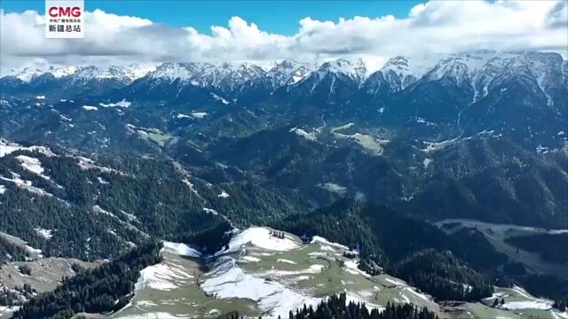 深秋遇初冬!新疆出现一半秋天一半冬天场景