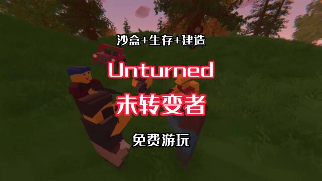 Steam游戏推荐《Unturned》!