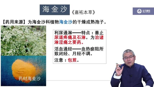 海金沙利水渗湿药利尿通淋药《中药学》高文医生主讲