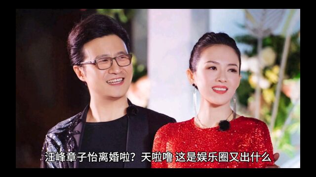 汪章离婚早有预兆?感情线解析