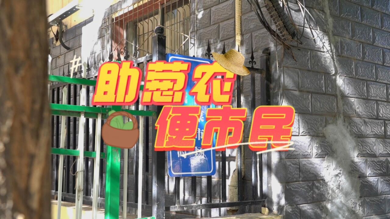 现场直击 | 助葱农 便市民