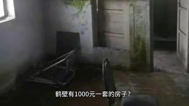 鹤壁有1000元一套的房子?