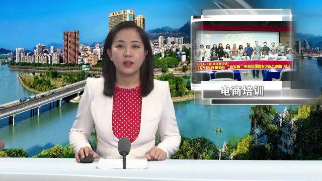 连州举行2023年全市青年“领头雁”电商培训暨农文旅产业推广活动启动仪式