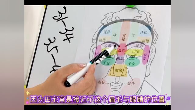 脸之第二十一课田宅宫#识人术 #脸型分析 #识人 #相由心生