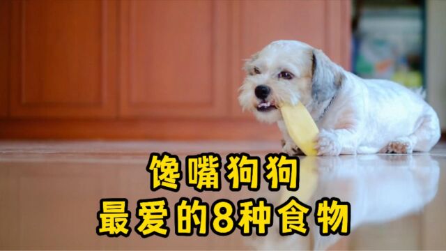 狗狗最爱的8种食物,你喂了吗?