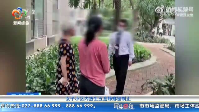 女子小区内放生五盒蟑螂被制止