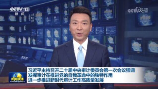 央视快评|以有力有效的审计监督服务保障党和国家工作大局