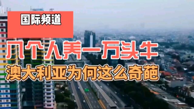 比以色列还大的土地,只有8个工人一万头牛,澳大利亚为何如此奇葩