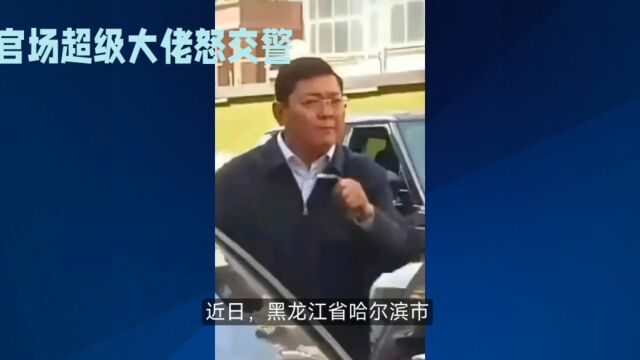 官场大佬:怒怼交警,权大无天