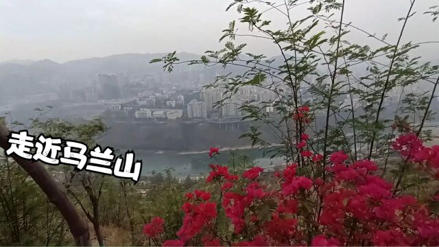 走近马兰山,感受不一样的健身步道