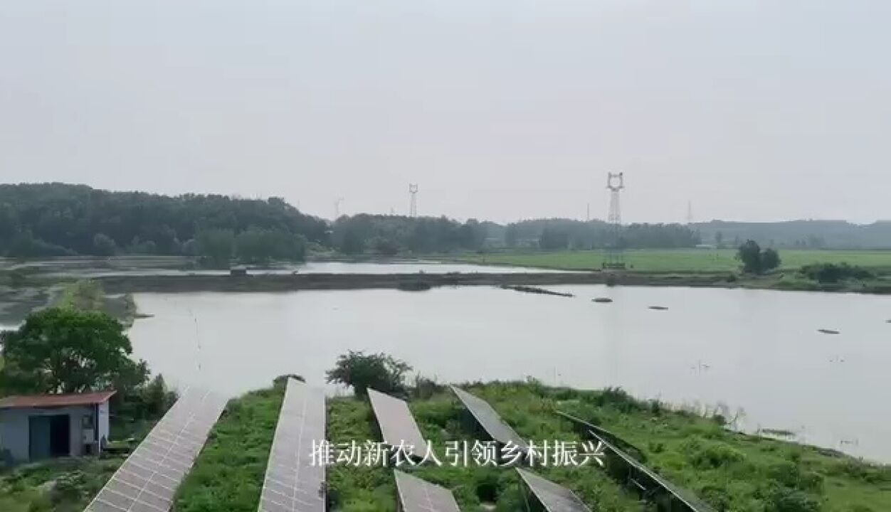 阳新浮屠镇张畈村