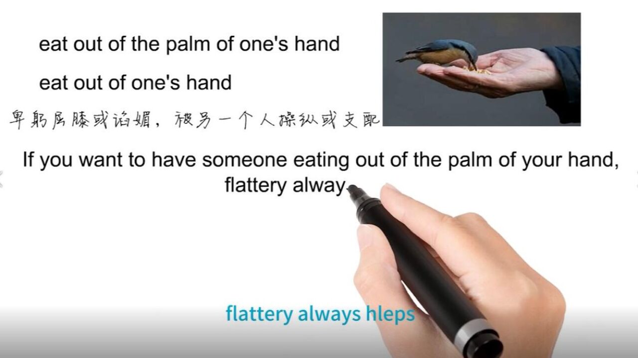 英语思维解密,为什么eat out of the palm of one's hand意为被另一个人操纵或支配,轻松学英语