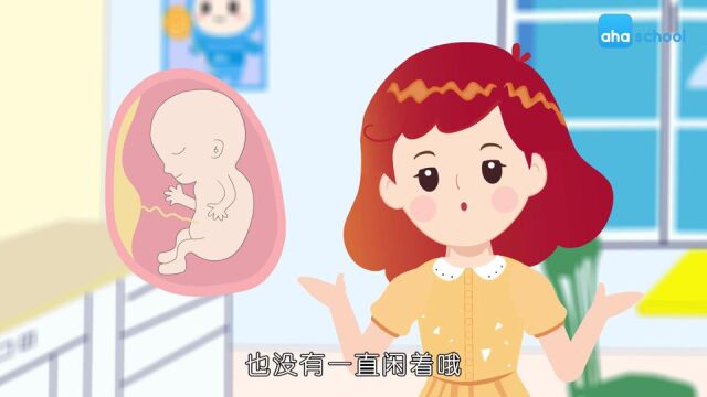 十万个为什么儿童版 02.我是怎么来的呀?