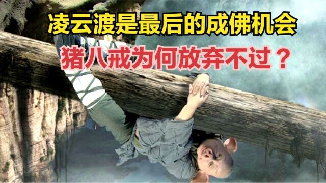 凌云渡是最后的成佛机会,猪八戒、沙僧为何放弃不过?