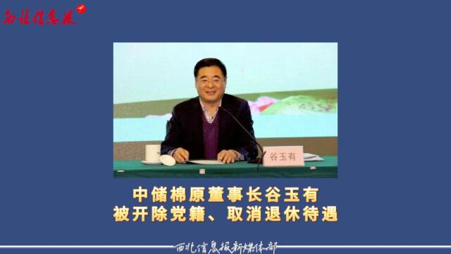 中储棉原董事长谷玉有被开除党籍、取消退休待遇