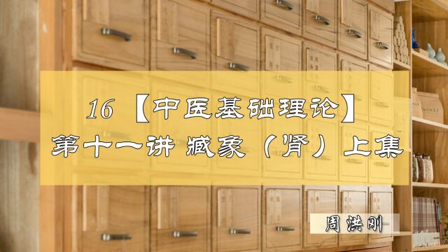 16【中医基础理论】第十一讲——藏象(肾)(上集)