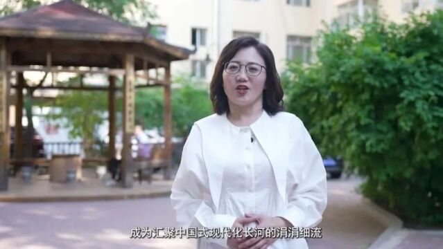 中国式现代化 | 一盏小桔灯——王莹