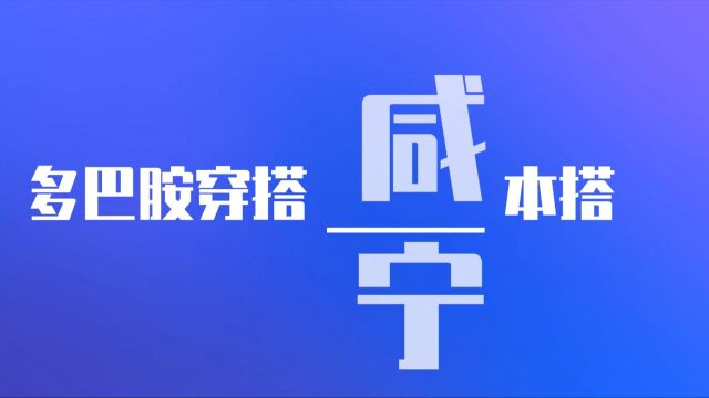 烟草行业多巴胺视频咸宁市局