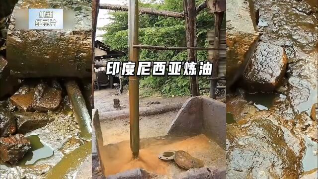 一升油仅需要一块六毛二,当地人疯狂抢购,每家每户都能产油炼油