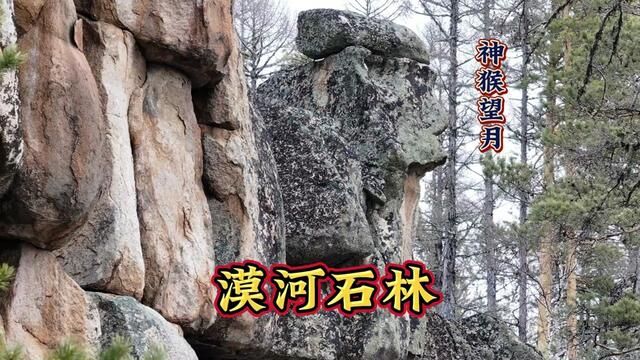 漠河市不为人知的地质公园,市区晴空万里,山里已白雪皑皑 #床车旅行 #床车自驾 #vlog旅行记