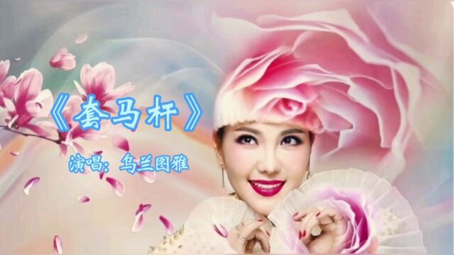 《套马杆》演唱:乌兰图雅