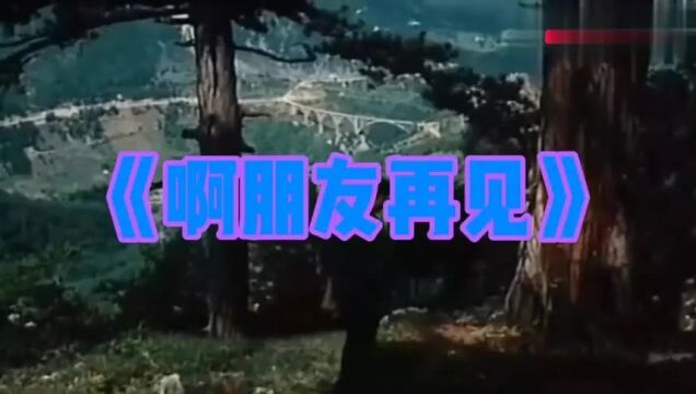 十首世界名曲中文版,令人流连忘返!