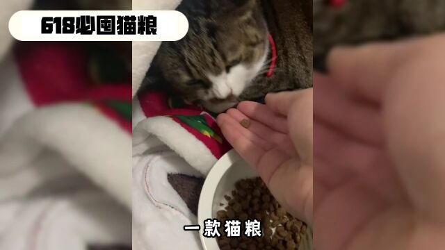 618囤什么粮?推荐这款“宠率猫粮”