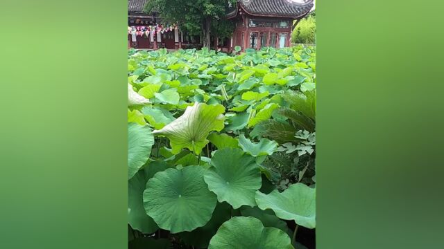 安全生产月,大足消防走进夏日打卡地宣传防火知识