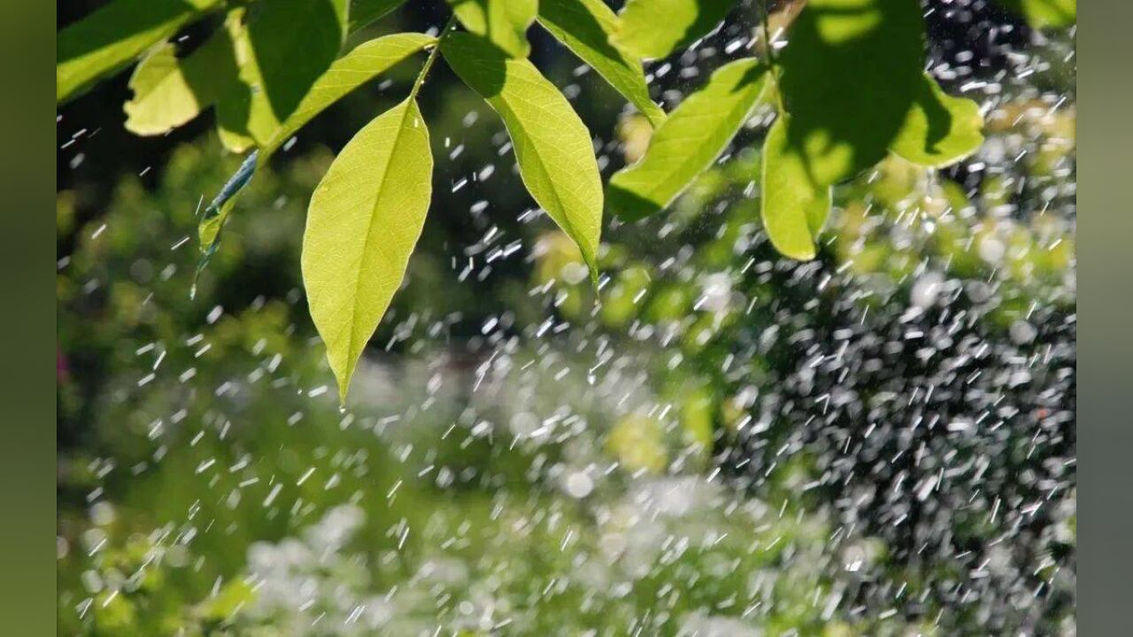 四川多地风雨雷电预警中:邻水县发布暴雨红色预警