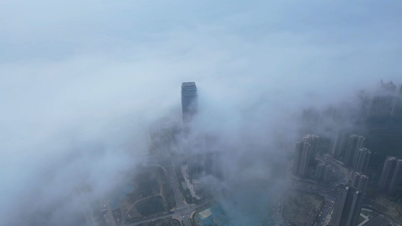 大连高新园区南海中心平流雾,太壮观了吧