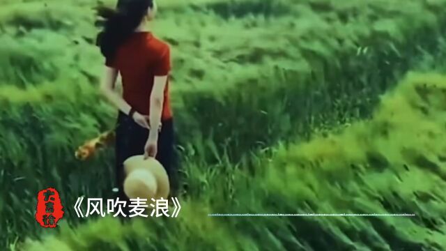 《风吹麦浪》分享画音|分享歌曲|