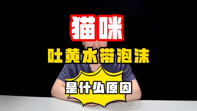 猫咪吐黄水带泡沫什么原因,你知道吗?