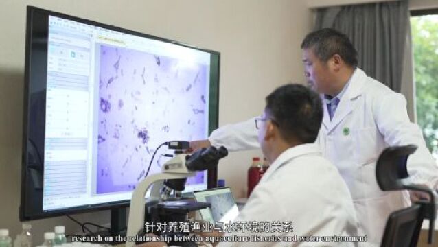 生物多样性优秀案例(51) | 浙江淳安千岛湖生态系统监测平台构建