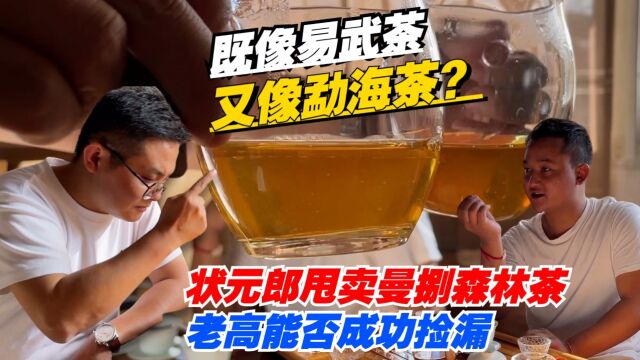 既像易武茶又像勐海茶?状元郎甩卖曼捌森林茶,老高能否成功捡漏