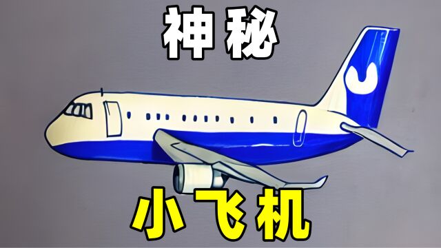 中国神秘事件,80后儿童群体目击神秘小飞机,它是UFO伪装吗