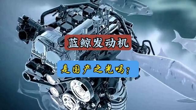 蓝鲸发动机是国产之光还是虚鲸一场#每天一个用车知识#蓝鲸发动机