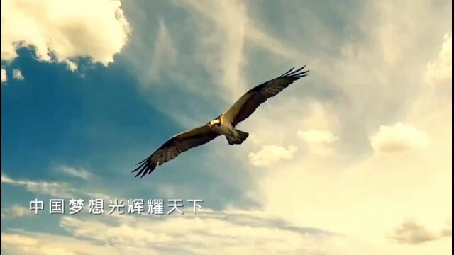 佩姐  我的中华 (MV)